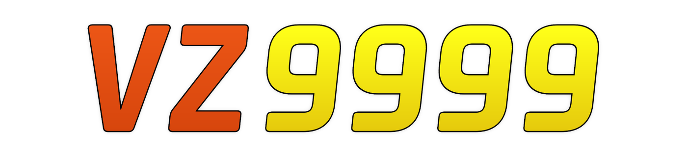 vz9999 logo